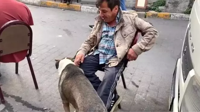 Mahalledeki köpek silahlı çatışmada yaralandı