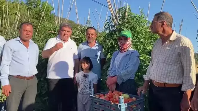 Son dakika haberi... Cengiz Gökçel'den Domates İhracatına Sınır Getirilmesine Tepki: 