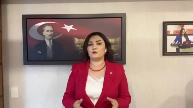 CHP İzmir Milletvekili Sevda Erdan Kılıç, AKP'nin gençlere telefon desteği vaadini yerine getiremediğini söyledi