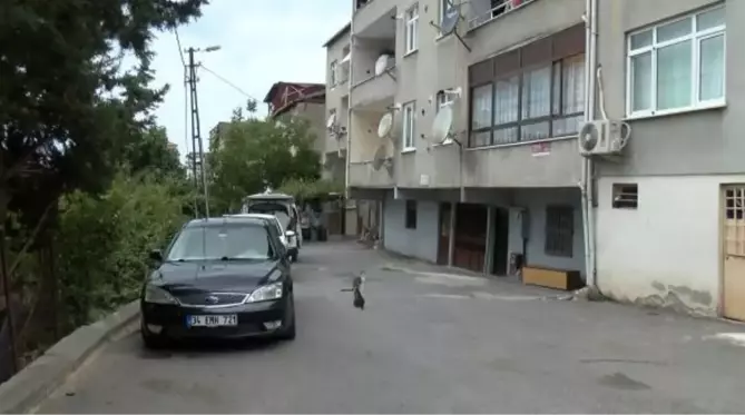 MALTEPE'DE TARTIŞTIĞI EŞİNİ BIÇAKLA AĞIR YARALADI