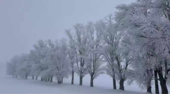 Erzurum'un Tekman ilçesi Türkiye'nin en soğuk yeri oldu