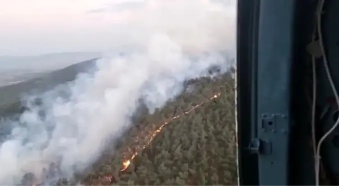 Manisa haberi! Manisa'da ormanlık alanda yangın