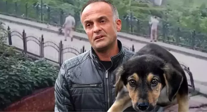 Yavru köpeği faraşla dereye atan işçi için karar verildi!