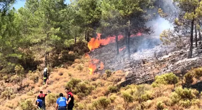 Fethiye'de ormanlık alanda yangın çıktı