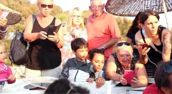 Caretta caretta yavruları Bodrum'da ilk kez görüldü