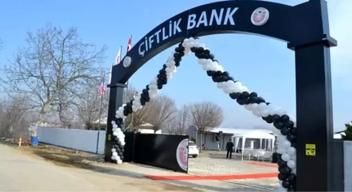 Çiftlik Bank davasına, mahkeme başkanı ile avukatın arasında geçen diyalog damga vurdu