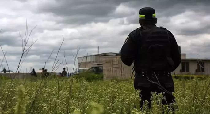 Meksika'da bir çiftlik ile yakınındaki çukurda 14 ceset bulundu