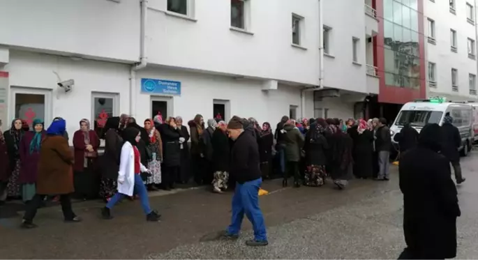 Ordu'da domuz gribinden bir kişi hayatını kaybetti