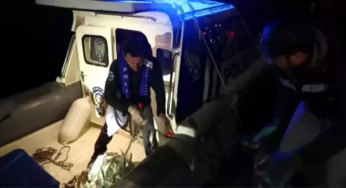 Van'da 350 kilo kaçak avlanmış inci kefali ele geçirildi