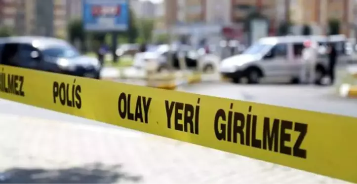 18 yaşındaki kadın hırsız, Yüksekova ilçe emniyet müdür yardımcısını bıçakladı