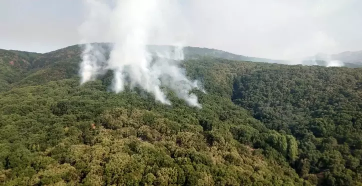 Tunceli'de 2 helikopter ve 1 uçakla yangına müdahale sürüyor