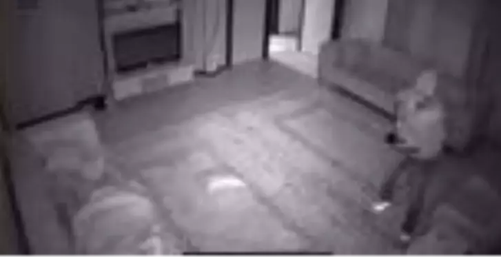 Uyuyan ev sahibini gördü, hırsızlığa devam etti