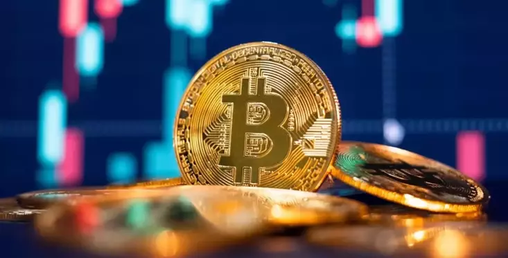 Bir ülkede daha Bitcoin rezervi sözü verildi