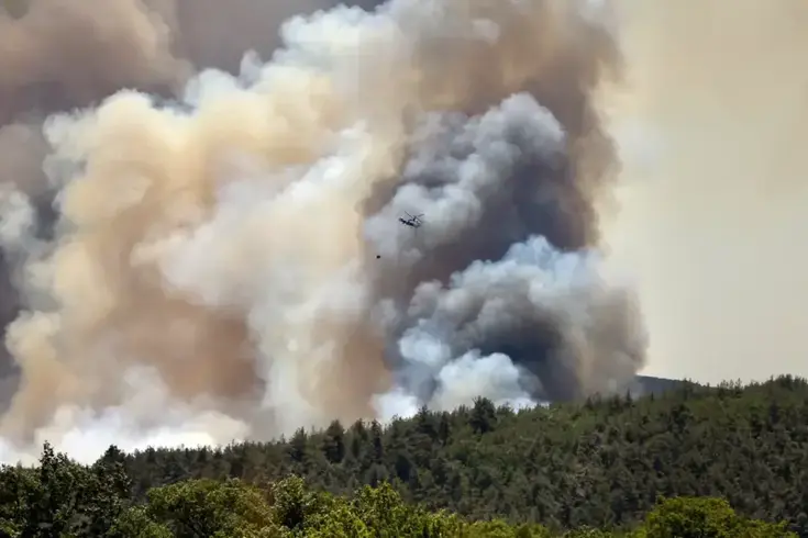 Sakarya'da günlerce yanan ormanlık alanda erkek cesedi bulundu