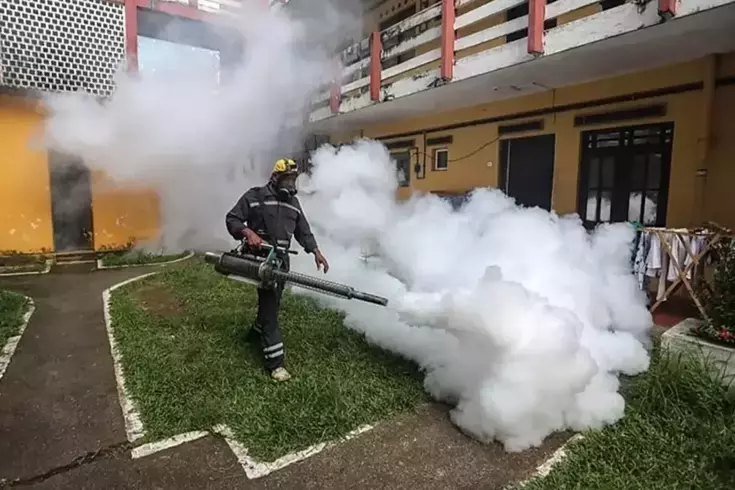 Çin'de 7 binden fazla 'chikungunya' virüsü vakası tespit edildi