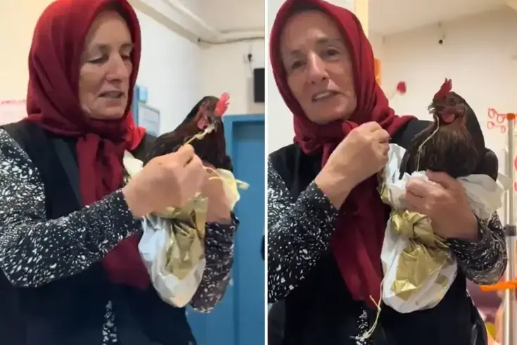 Tavuğunu devlet hastanesine götürdü, personelin cevabıyla hayal kırıklığına uğradı