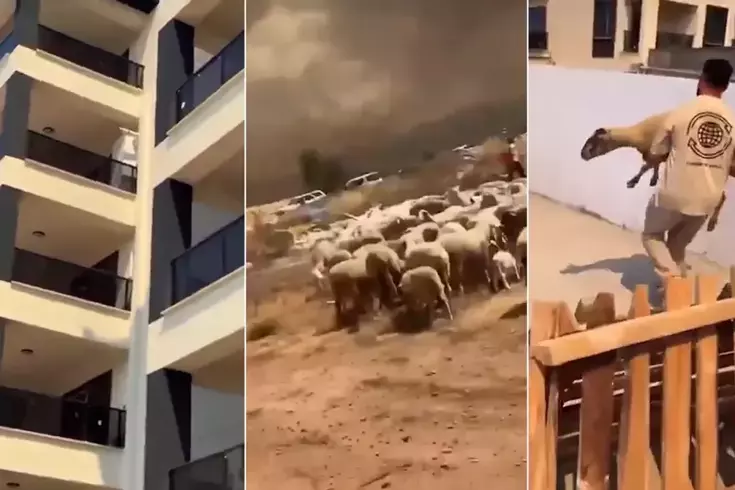 İnsanlığımızdan utandık! Yangından kaçan çoban ve koyunları siteye alınmadı