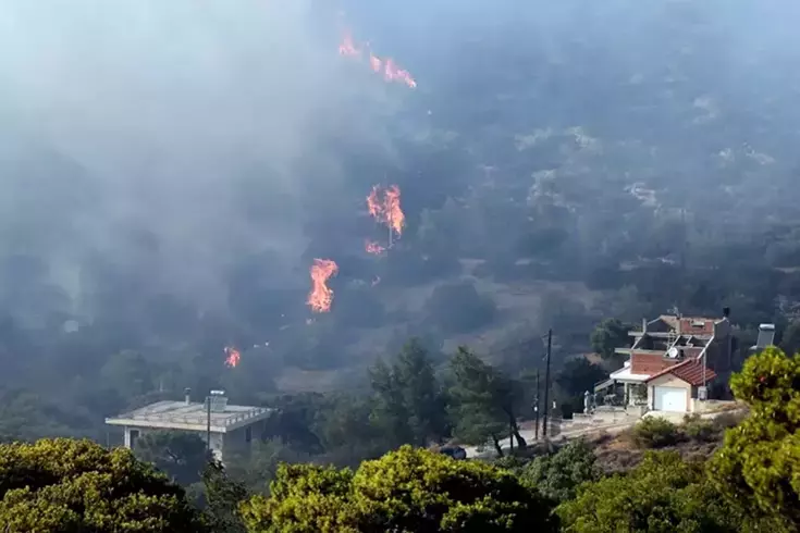 Komşuda orman yangınıyla mücadele! 1 kişi hayatını kaybetti, ekolojik felaket yaşanabilir