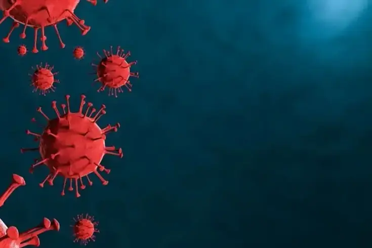 Kırgızistan'da alarm, hızla yayılan virüs eğitimi felç etti