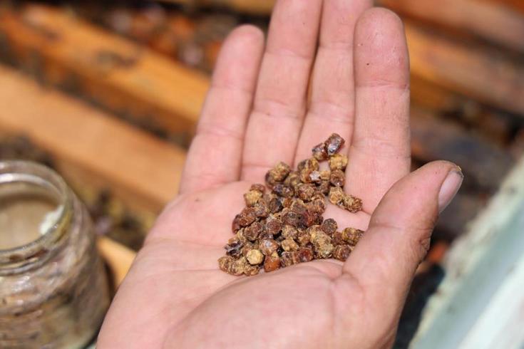 Tek çay kaşığı 1 kilo ete eşit