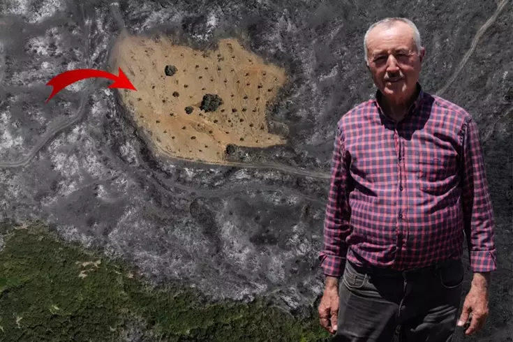 Ödemiş'te şaşırtan görüntü! Bir tek Ahmet Türk'ün arsası yanmadı