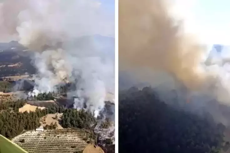 Balıkesir'de orman yangını çıktı