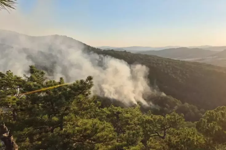 Bolu'dan korkutan orman yangını