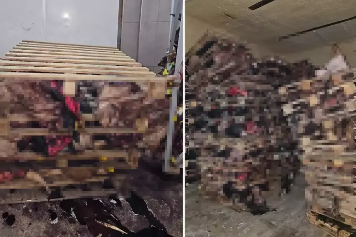Bursa'da boş tamirhanede çürümüş hayvan kafaları bulundu