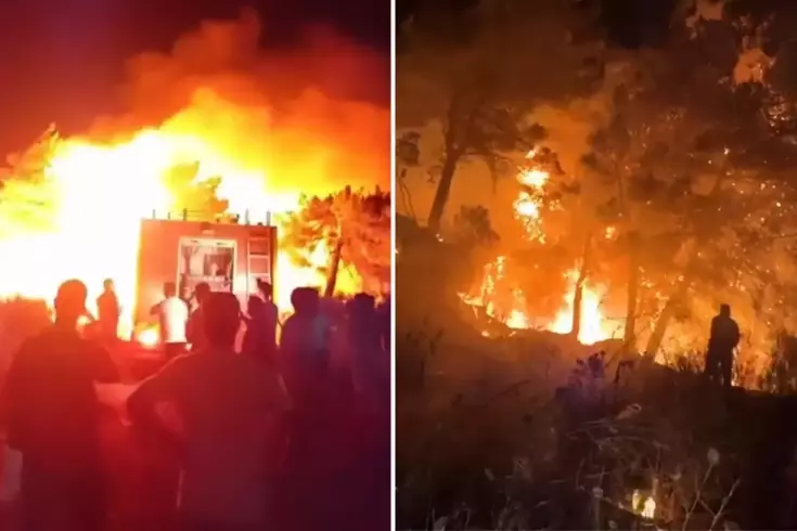 Hatay'da ormanlık alanda yangın çıktı