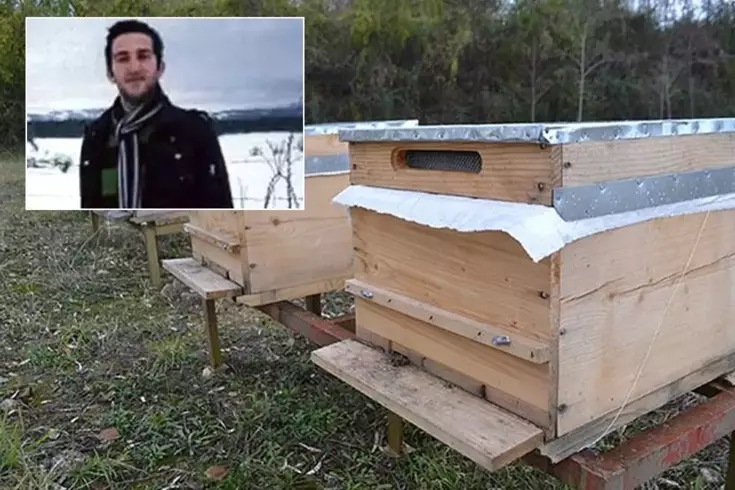 Hayatının baharındaki genç, arı sokmasından yaşamını yitirdi