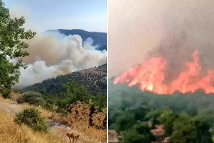 Bursa-Balıkesir sınırında orman yangını! Bir mahalle tahliye edildi