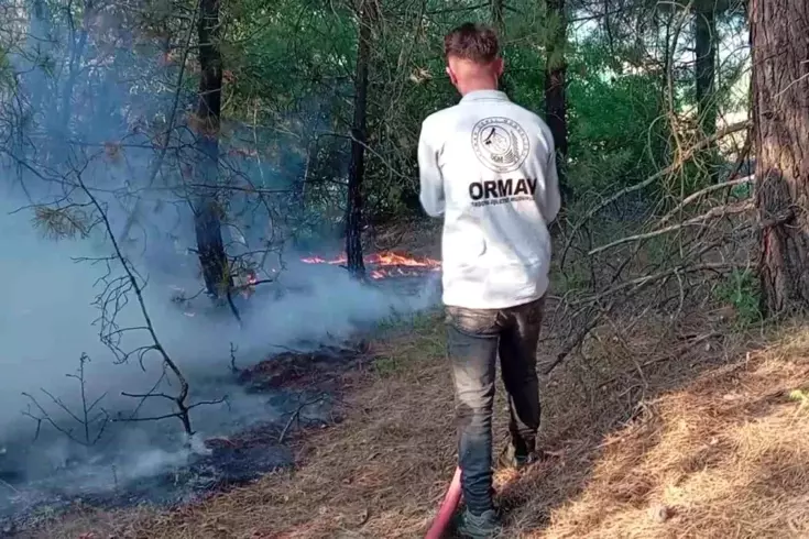 Amasya'da orman yangını! 10 dekarlık alan zarar gördü