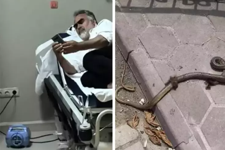 Mevsimlik işçiye yılan saldırdı, hastanelik oldu