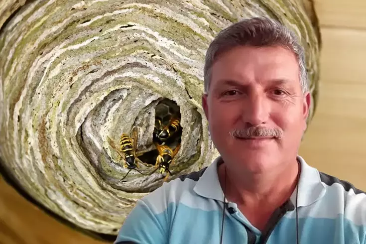 Худшее окончание гражданина, который разрушил гнездо диких пчел на хобби-огороде.