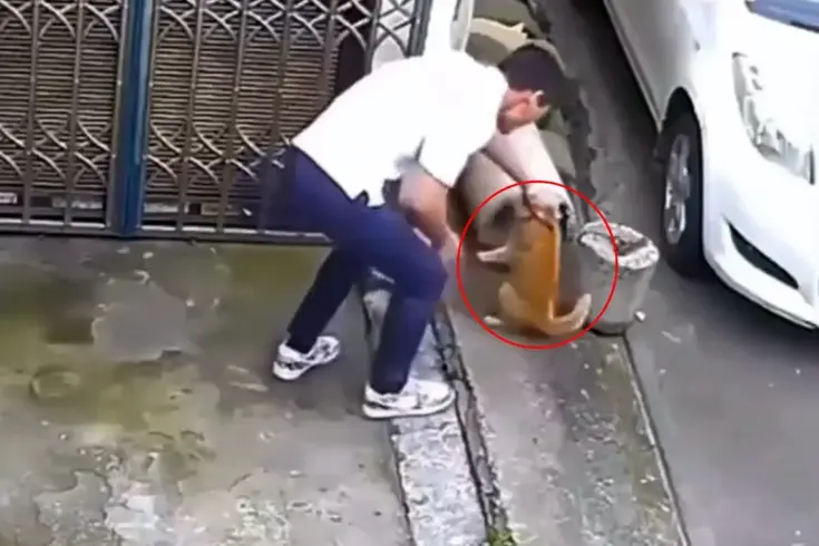 Sevmek bahanesiyle kedinin yanına yaklaştı, sonrasında olanlara inanamayacaksınız. 

На русском языке: 

'Подошел к кошке под предлогом любви, а потом вы не поверите, что произошло.'