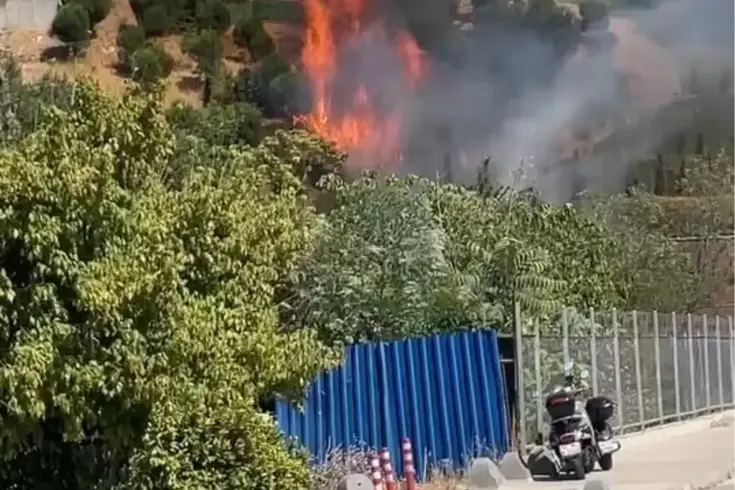 İstanbul Kağıthane'de ağaçlık alanda yangın