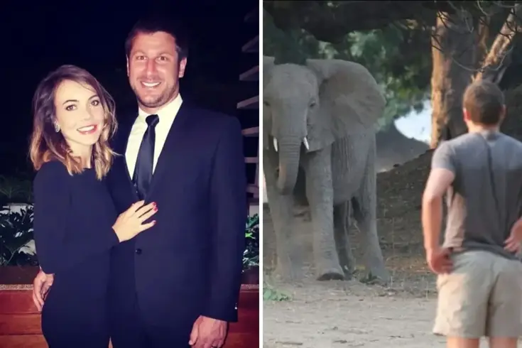 Milyoner safari patronu, 6 tonluk filin saldırısına uğrayarak feci şekilde can verdi