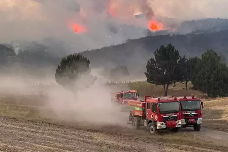 Orman yangınlarında ölümcül tuzak! Alev Kırbacı can alıyor