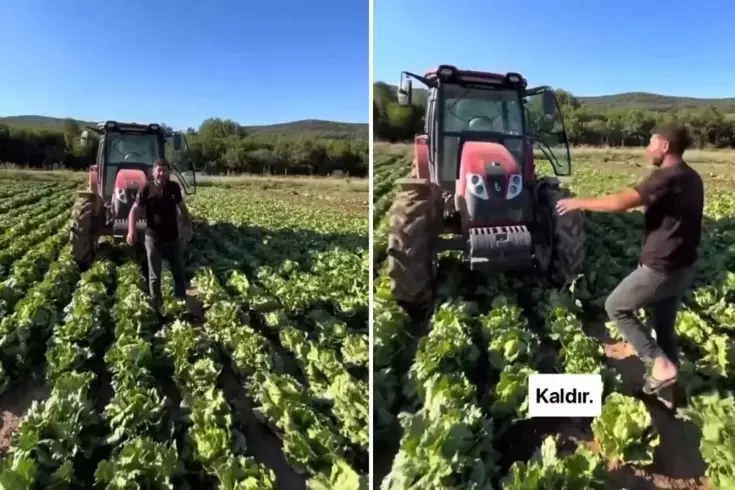 Tarlasındaki ürüne teklif edilen fiyat üreticiyi isyan ettirdi: Markette 30 TL'ye satıyorlar