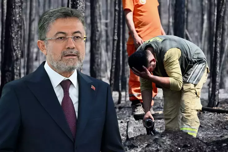 4 ilde yangınlar kontrol altına alındı, Bursa'da alevlerle mücadele devam ediyor