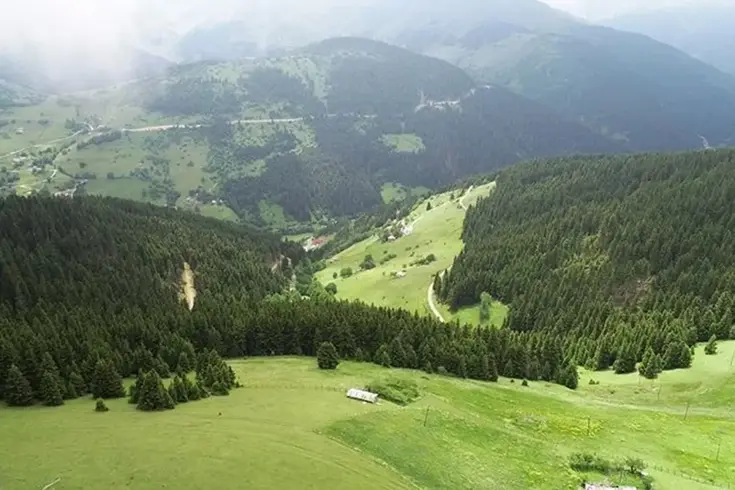 Yaylada arazi kavgası katliama dönüştü