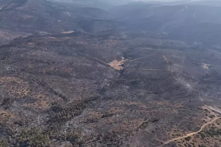 Bursa'daki orman yangınları 5. günde kontrol altına alındı