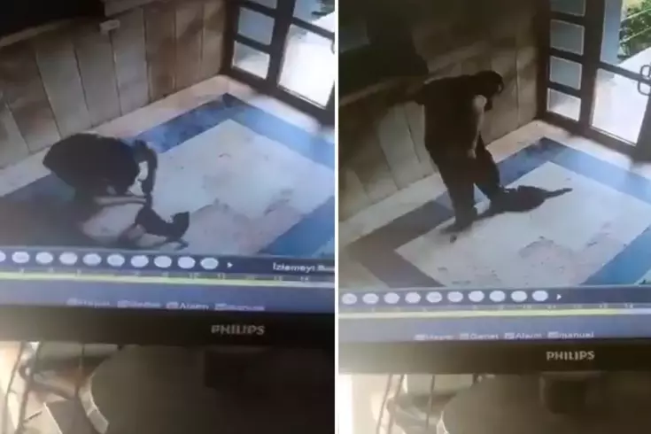 Kediyi vahşice öldüren caninin ifadesi ortaya çıktı: Onu can düşmanım gibi gördüm