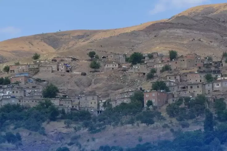 Köyü istila ettiler! Bir ısırığı hayattan koparıyor