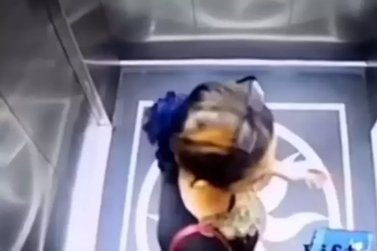 Asansör kapısını zorlayan kadın boşluğa düşerek hayatını kaybetti