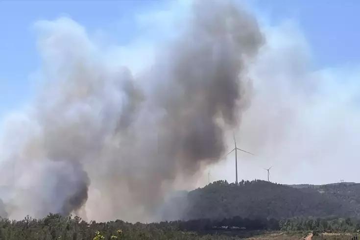 Çanakkale'de yine orman yangını! Kaz Dağları tehdit altında