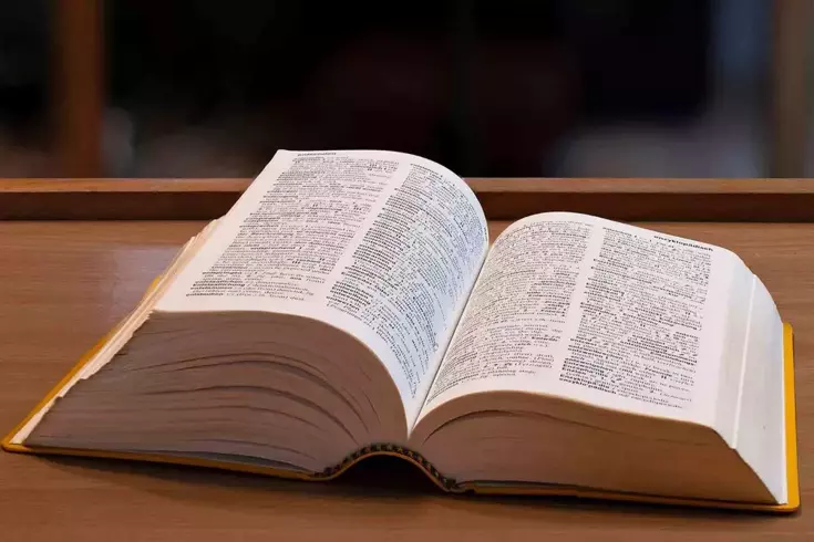 Sözlüğe yeni kelimeler eklendi: Skibidi, delulu, tradwife