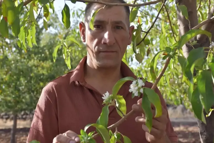 Ağustos ayında üreticiyi tedirgin eden manzara: Çok garip bir durum