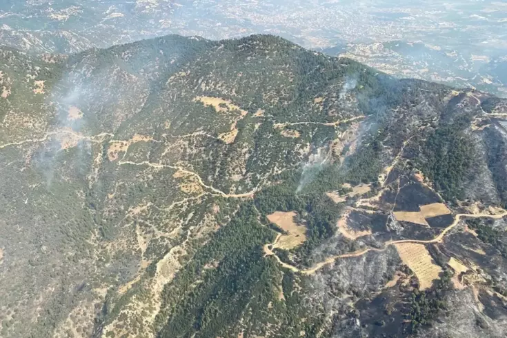 Aydın'daki orman yangını 3'üncü gününde