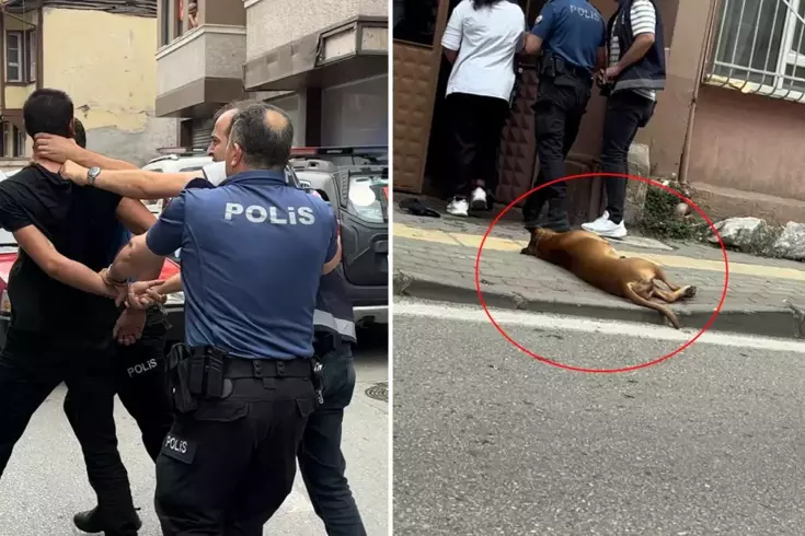 İhbara gelen ekiplerin üzerine pitbull köpeğini saldı